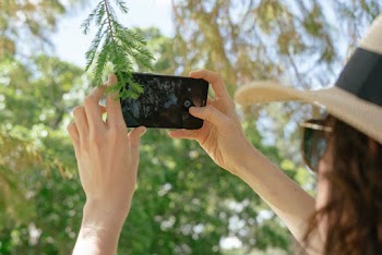 Photo Of Person Taking A Picture