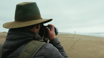 Photo Of Person Taking Photo Of Seashore