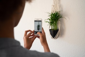 Photo Of Person Taking Picture
