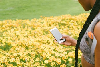 Photo Of Person Taking Picture Of Flowers