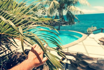 Photo of Person Touching Palm Leaves