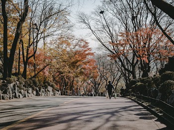 Photo of Person Walking on the Road