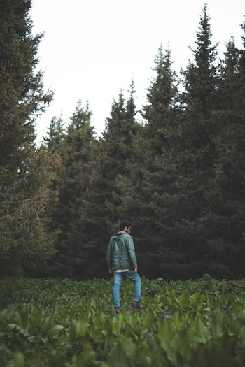 Photo of Person Wearing Green Jacket