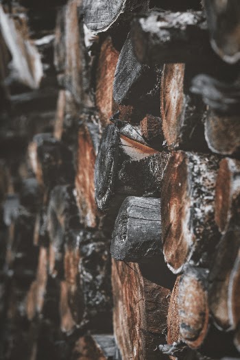 Photo of Pile of Woods