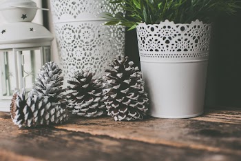 Photo of Pine Cones Near White Vase