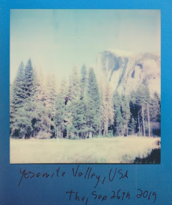 Photo Of Pine Trees During Daytime