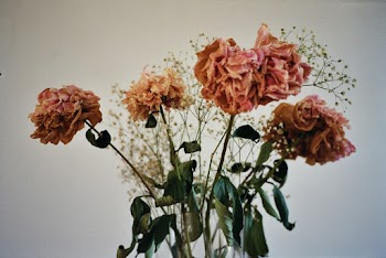 Photo Of Pink Flowers On Vase