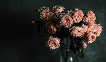 Photo of Pink Garden Rose Flowers in a Glass Vase