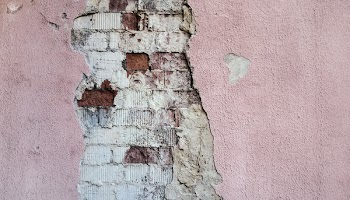 Photo of Pink Painted Wall