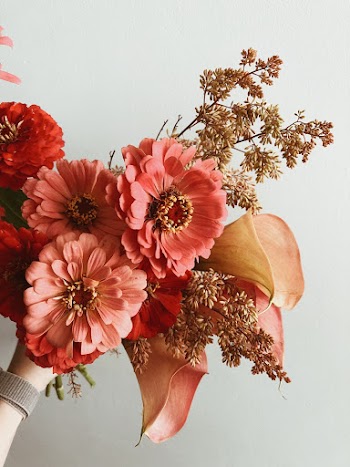 Photo Of Pink Petaled Flowers