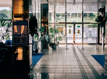 Photo of Plants Near the Glass Door