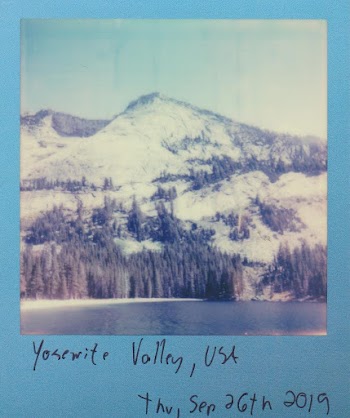 Photo Of Polaroid Picture