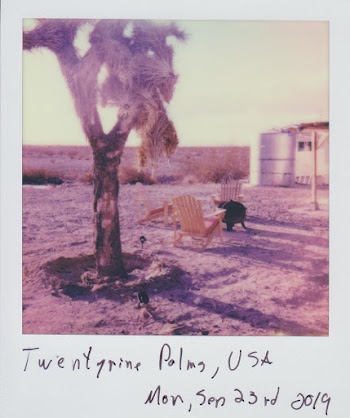 Photo Of Polaroid Picture