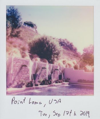 Photo Of Polaroid Picture