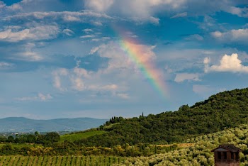 Photo of Rainbow