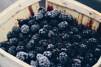 photo of raspberry fruits