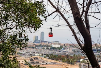Photo of Red and White Cable Car
