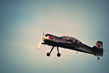 photo of Red Bull print plane