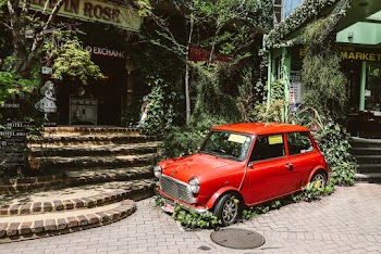 Photo of Red Mini Cooper Parked Near Plants