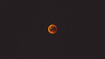 photo of red moon