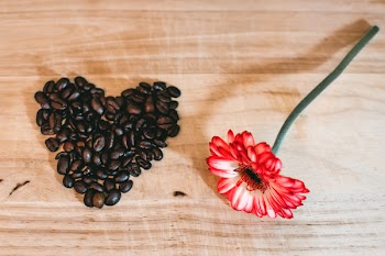 Photo of Red Petaled Flower Near Coffee Beans