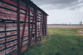 Photo of Red Wooden Shed on Green Grass Field