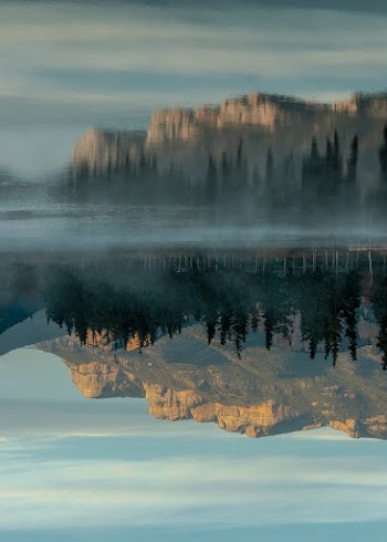 Photo of Reflection of Rocky Mountain and Trees