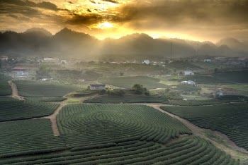 Photo Of Rice Field Beside During Golden Hour