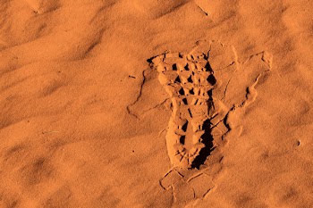 Photo of Right Footprint on Sand