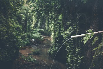 Photo of River