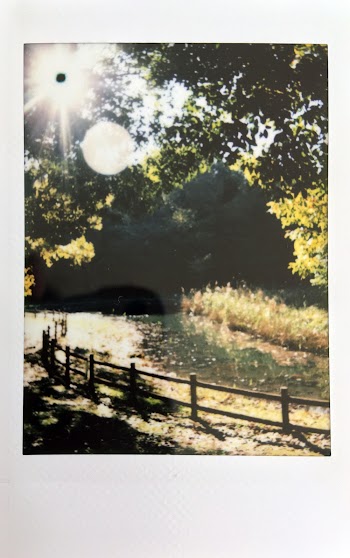 Photo Of River Beside Fence