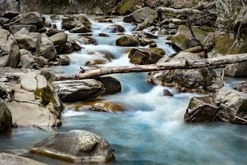 Photo of River During Daytime