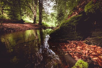 Photo of River During Daytime
