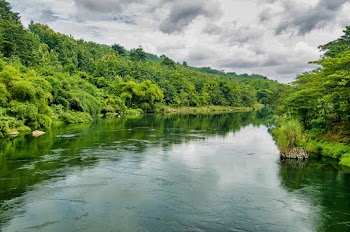 Photo of River in Between Trees