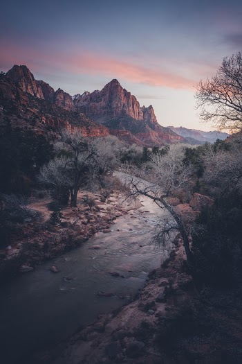 Photo of River in Between Trees