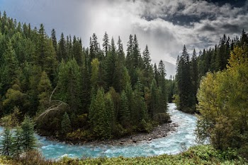 Photo of River Near Tall Trees