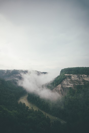 Photo of River Surrounded by Trees