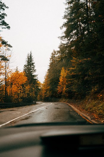 Photo Of Road During Daytime