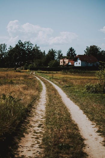 Photo of Road Near Houses
