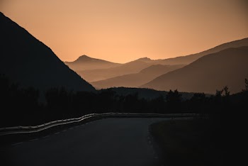 Photo of Road Near Trees