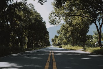 Photo of Road Near Trees
