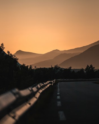 Photo of Road Near Trees