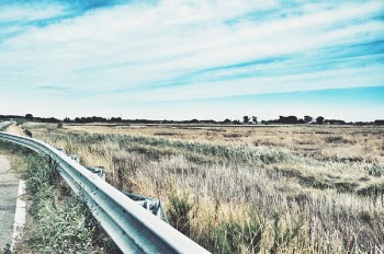 Photo of Road Railing Near Grasses