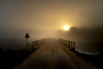 Photo Of Roadway During Dawn