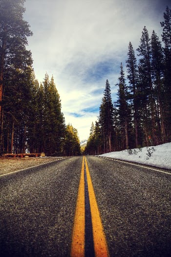 Photo of Roadway During Daytime