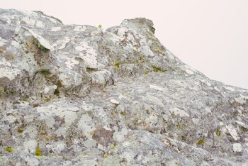 Photo Of Rock Formation