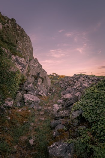 Photo of Rocks Near Pathway