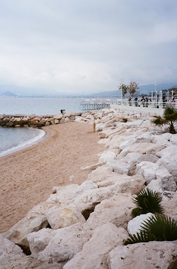 Photo of Rocks on Beach