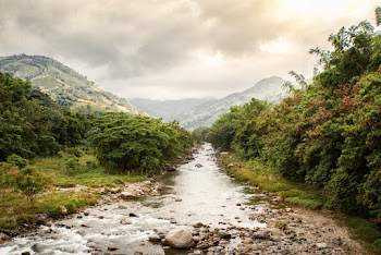 Photo of Rocky Creek Beside Trees