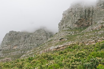 Photo Of Rocky Mountain During Daytime